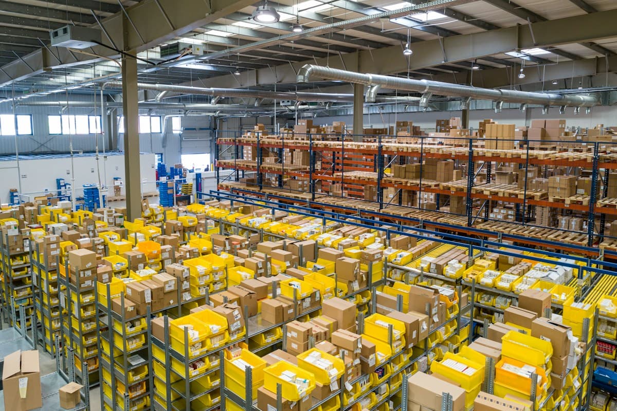 Hashima Conveyor Needle Metal Detector and Export Staging